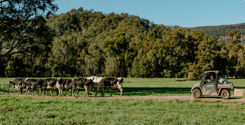 Farm contractor at work in the Southern Highlands area